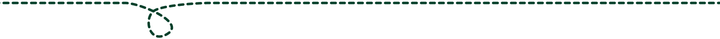 Rope Line Divider